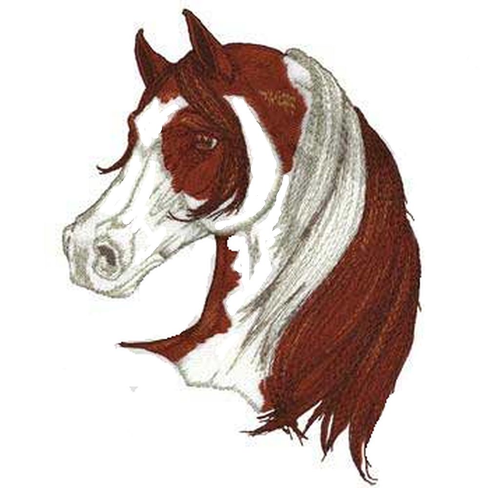 Arabian Paint Horse #H20 Embroidered Patch size 3"x 3", 6"x 7" Iron on or sew on