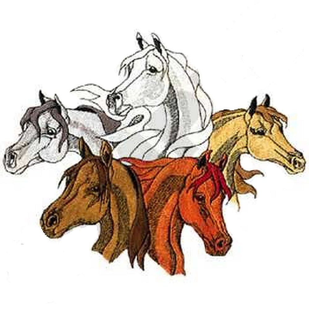 Arabian s Collage of 5 Heads H44 Embroidered Patch 9" x 7" Iron on or sew on