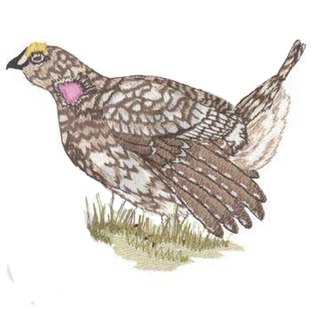 Grouse, Sharptailed FB48 Embroidered Patch 7" x 5.5" Can also make a new size