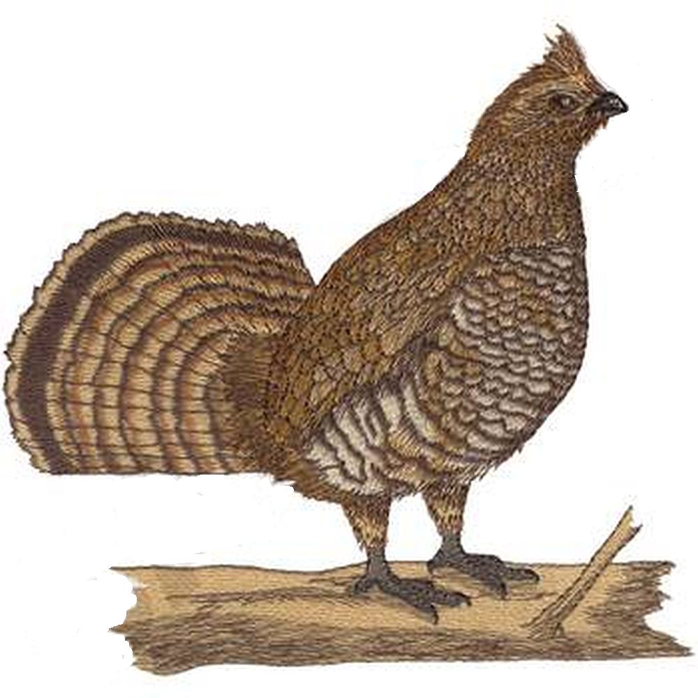 Grouse, Ruffed FB13 Embroidered Patch 7" x 6.5" or I can make you a new size