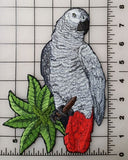 African Grey Parrot Bird Embroidered Patch  8" x 5.5"