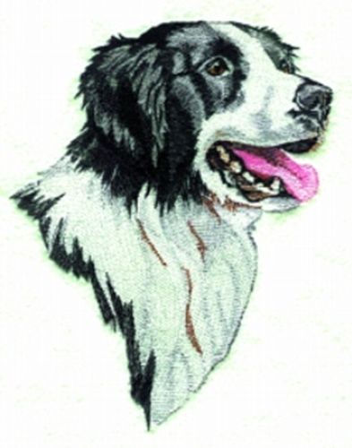 Border Collie Embroidered Patch