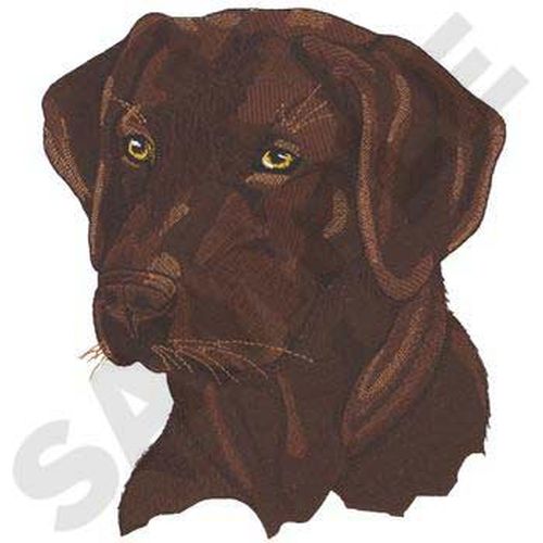 Labrador Retriever Dog, (Chocolate) Embroidered Patch 7.3