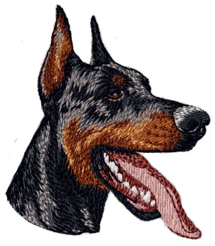 Doberman Pinscher Dog Cropped Ears Embroidered Patch 3.3"