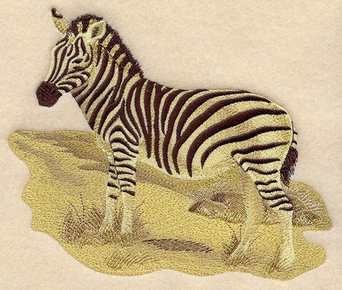 Zebra, Safari, Embroidered Patch