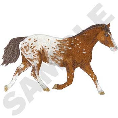 Appaloosa Horse (107) Embroidered Patch Approx Size 8" x 5" or i can make a new size