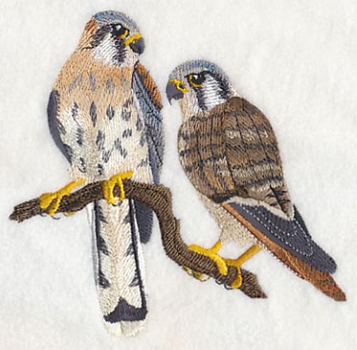 American Kestrel Falcons Pair Perching Embroidered Patch