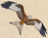 Red Kite Flying, Raptors, Buzzards, Embroidered Patch