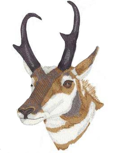 Pronghorn Antelope Embroidered Patch 4.2" x 7"