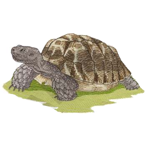 Tortoise Turtle (885) Embroidered Patch 6.9" x 3.8"