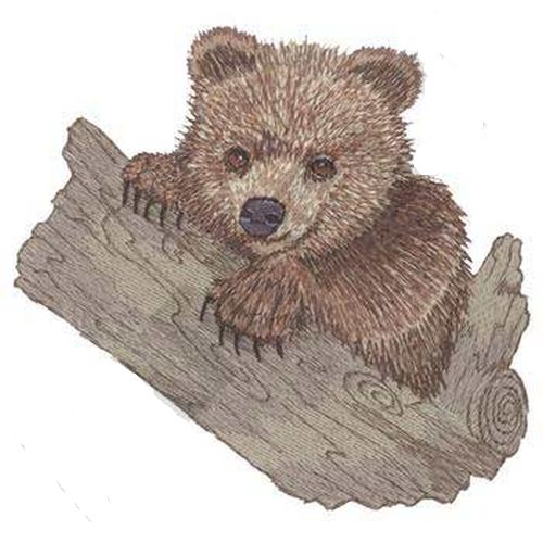 Grizzly Bear Cub Embroidered Patch 5.2" x 5"