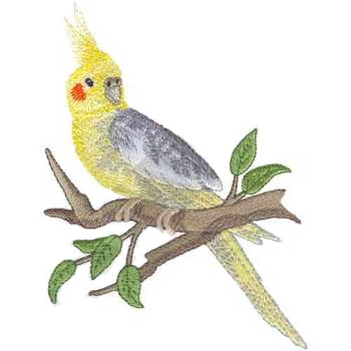Cockatiel Bird Embroidered Patch 4.8" x 7"