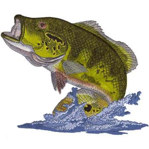 Peacock Bass Tucunare Pavon Fish Embroidered Patch 8.2" x 6.2"