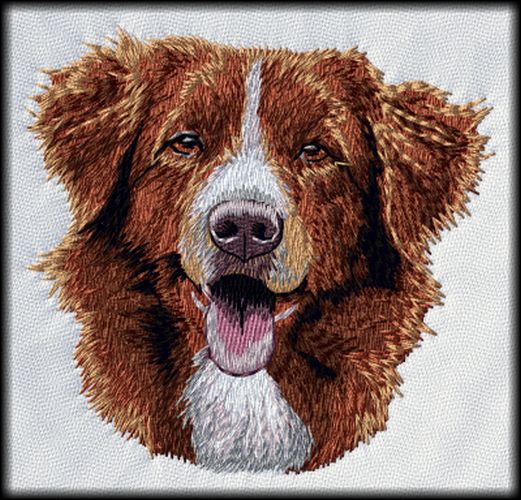 Nova Scotia Duck Trolling Retriever Dog Patch 3.5"