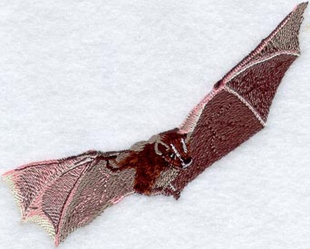 Bat (Tent Bat) Embroidered Patch 4.7" x 3.8"