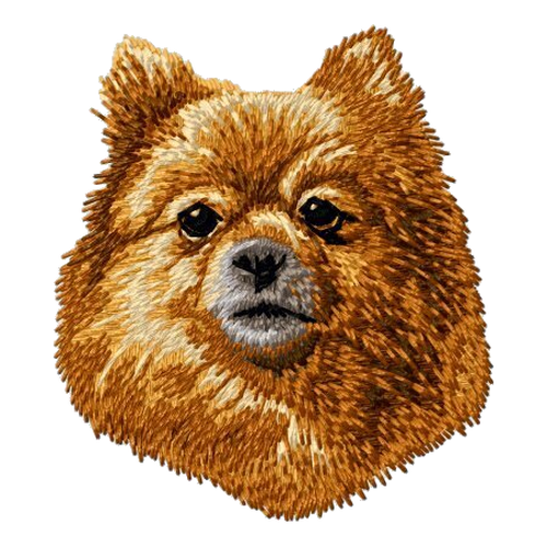 Pomeranian Buff Color Embroidered Patch 3"