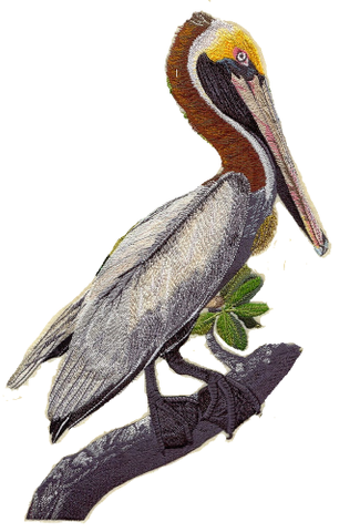 Brown Pelican Embroidered Patch 6" x 4.5"