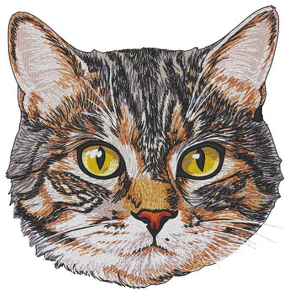 Cat American Shorthair Kitten Embroidered Patch 2" 3" 4" and 5" Iron on or Sew on