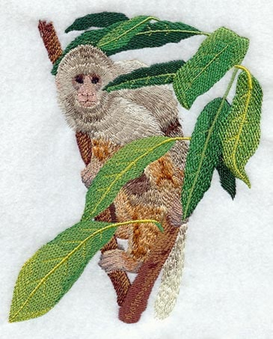 Monkey, Capuchin, Embroidered Patch 4.7"x 5.8"