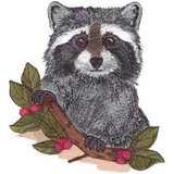 Raccoon Embroidered Patch 5.1" x 5.6"