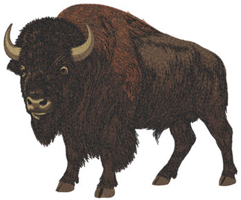 Buffalo Embroidered Patch 6" wide x 5" tall or I can make you a new size Iron on or sew on