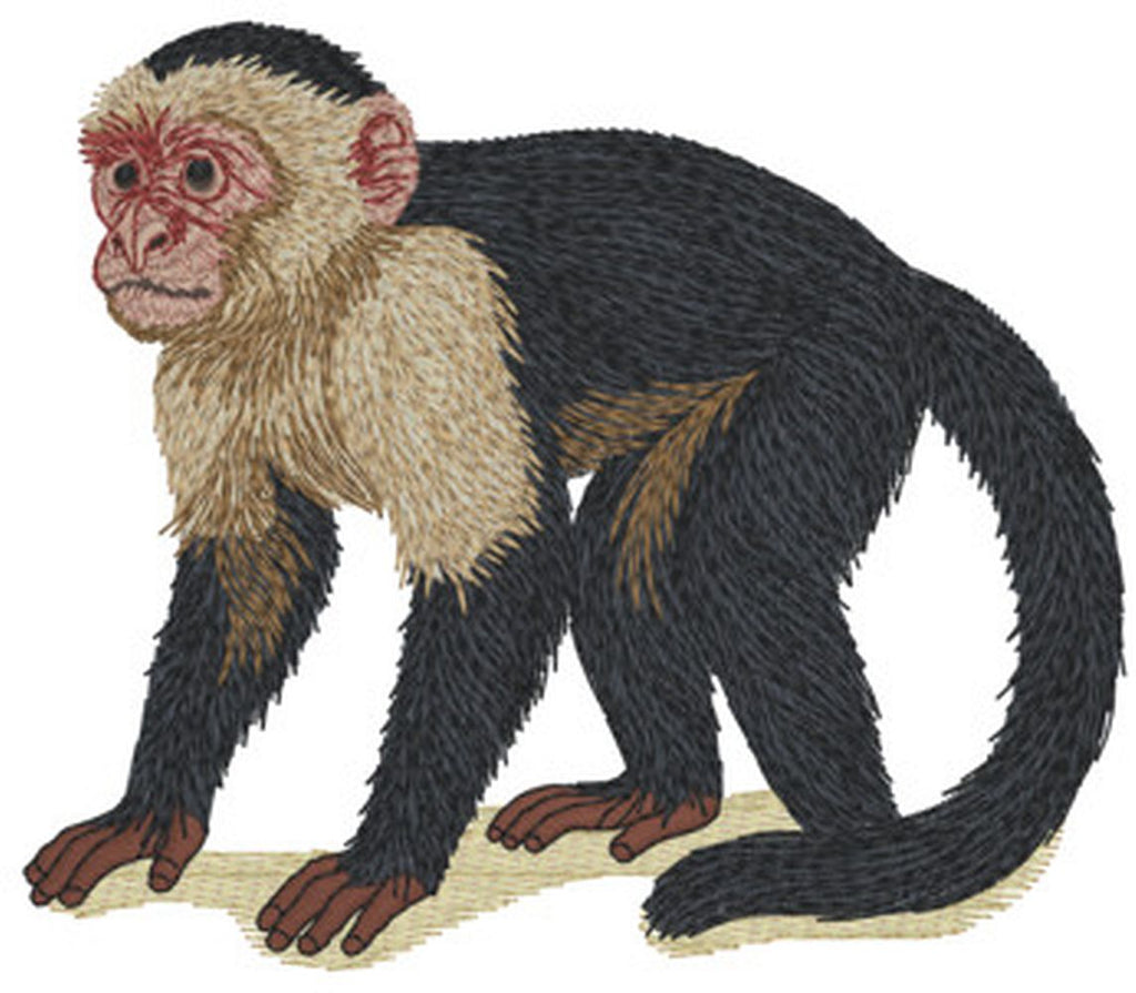 Monkey #667 Embroidered patch sizes 2" 3" 4" and 5" or I can make you a new size Iron on or sew on