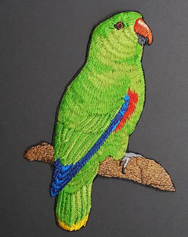 Eclectus Parrot Male Embroidered Patch