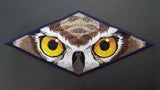 Owl Eyes Embroidered Patch 9" x 4"