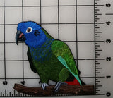 Blue-Headed Pionus, Blue-Headed Parrot Embroidered Patch 4.5" x 4.6"