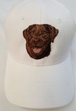 Labrador Retriever Dog (Chocolate) Embroidered Hat