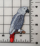 African Grey Parrot Bird Embroidered Patch 2.6" x 3.9"
