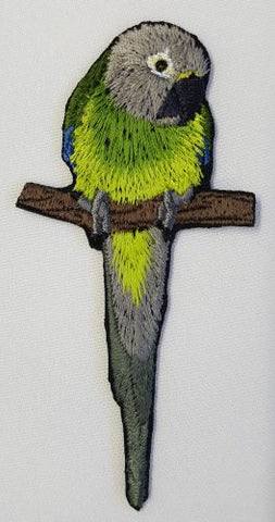 Dusky Conure, Dusky Headed Parakeet Weddells Conure Parrot, Bird  Embroidered Patch 1.8" x 3.9"