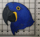 Macaw, Hyacinth, Parrot Embroidered Patches