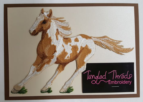 Paint Horse Embroidered Patch