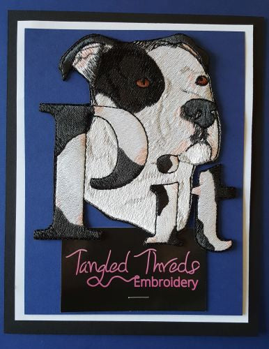 Pit Bull, Staffordshire Terrier, Black & White, Embroidered Patch 5" x 5"