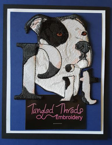 Pit Bull, Staffordshire Terrier, Black & White, Embroidered Patch 5" x 5"
