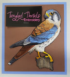 American Kestrel Falcon, Perching Embroidered Patch