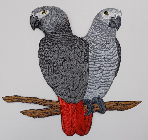 African Grey Parrots Pair Bird Embroidered Patch 7"x 7"