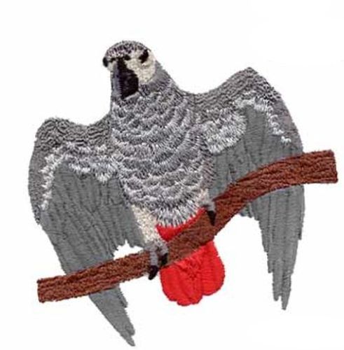 African Grey Parrot Bird Embroidered Patch 4.5" x 4.3"