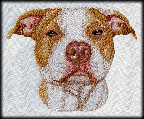 Pit Bull, American Pitbull Terrier Dog Orange & White Embroidered Patch 3", Iron on or sew on
