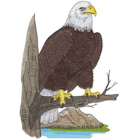Bald Eagle, Birds of Prey Embroidered Patch 4.9" x 6.9"  Free USA Shipping
