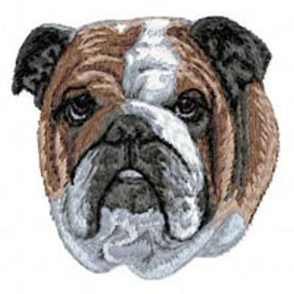 Bulldog, English (63) Embroiderd Patch 3" x 3 "