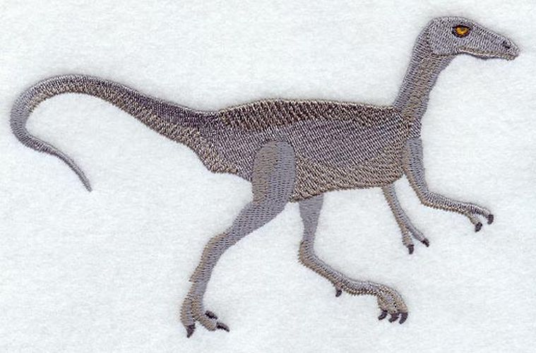Dinosaur Compsognathus Embroidered Patch