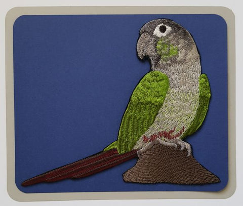 Green Cheek Conure, Parrot Bird Embroidered Patch 2 sizes