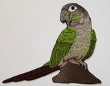 Green Cheek Conure, Parrot Bird Embroidered Patch 2 sizes