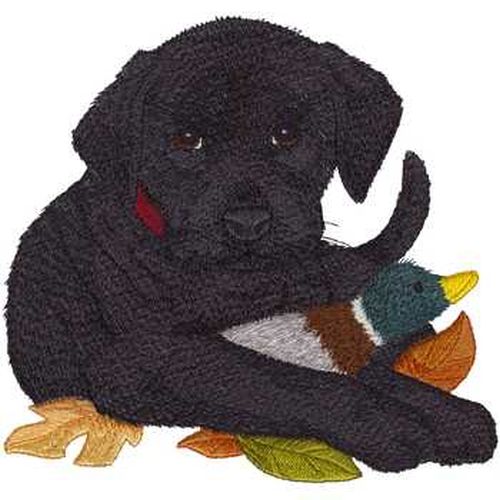 Labrador Retriever Puppy Dog, (Black)  Embroidered Patch 7.3" x 7"