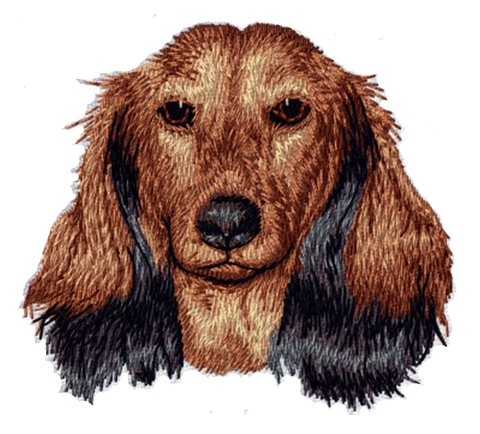 Dachshund Dog Longhair Embroidered Patch 3"