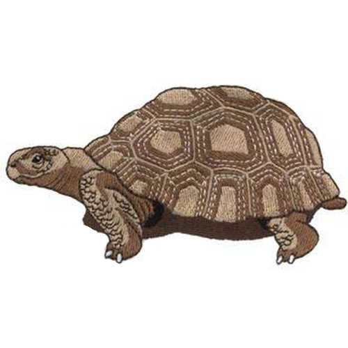 Desert Tortoise Turtle Embroidered Patch 5" x 2.6" Free USA Shipping