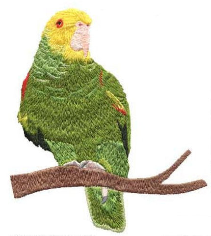 Double Yellow Head Amazon Parrot Embroidered Patch
