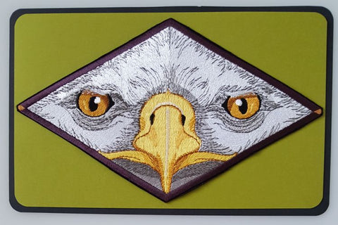 Eagle Eyes Birds of Prey Embroidered Patch 8.5" x 5.1"